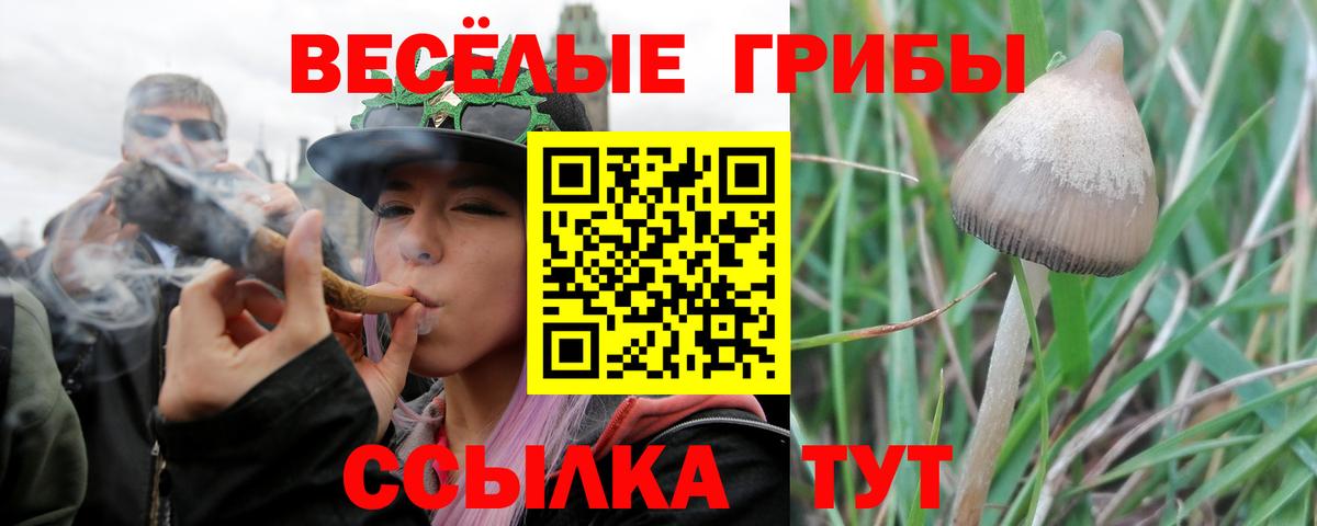 Галлюциногенные грибы прущие грибы Гай